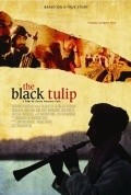 Film The Black Tulip.