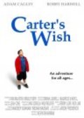Carter's Wish is the best movie in Anthony Ulrich filmography.