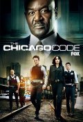 The Chicago Code - movie with Delroy Lindo.