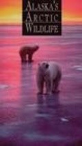 Alaska's Arctic Wildlife film from Bo Boudart filmography.