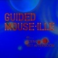 Animation movie Guided Mouse-Ille.