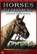 Film Horses of Gettysburg.