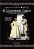 Il matrimonio segreto - movie with David Kuebler.