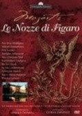 Le nozze di Figaro film from Thomas Olofsson filmography.