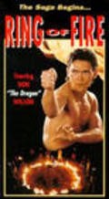 Ring of Fire - movie with Don 'The Dragon' Wilson.