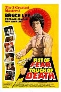 Film Fist of Fear, Touch of Death.
