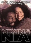 Mixing Nia - movie with Isaiah Washington.