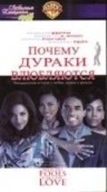 Why Do Fools Fall in Love film from Gregory Nava filmography.
