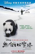 Xiong mao hui jia lu film from Jeong Yu filmography.