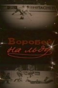 Vorobey na ldu is the best movie in Vyacheslav Galliulin filmography.