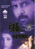 Sethu film from Bala filmography.