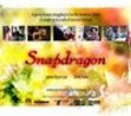 Snapdragon - movie with James Kyson Lee.