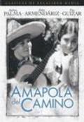 Amapola del camino - movie with Dolores Camarillo.