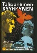 Tulipunainen kyyhkynen is the best movie in Risto Makela filmography.