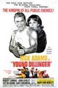 Young Dillinger film from Terry O. Morse filmography.
