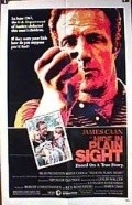 Hide in Plain Sight film from James Caan filmography.