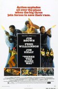 Three the Hard Way - movie with Fred Williamson.