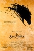 The Black Stallion film from Carroll Ballard filmography.