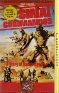 Kommando Sinai - movie with Robert Fuller.