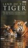 Land of the Tiger film from Dennis B. Kane filmography.