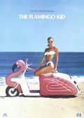 The Flamingo Kid film from Garry Marshall filmography.