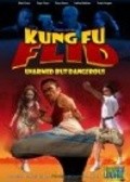Kung Fu Flid - movie with Evan Ross.