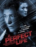 A Perfect Life is the best movie in Johan Earl filmography.