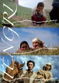 Tengri is the best movie in Elim Kalmouratov filmography.