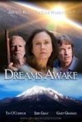 Dreams Awake is the best movie in Gary Graham filmography.