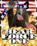 Animation movie Bear Force One.