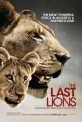 The Last Lions film from Dereck Joubert filmography.