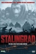 Stalingrad (mini-serial) film from Stefan Mausbach filmography.