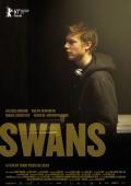 Swans film from Hyugo Viyera Da Silva filmography.