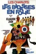 Les bidasses en folie film from Claude Zidi filmography.