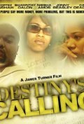 Destiny's Calling is the best movie in Dez Cortez Crenshaw filmography.
