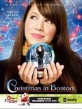 Christmas in Boston film from Neill Fearnley filmography.