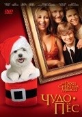 My Dog's Christmas Miracle film from Michael Feifer filmography.