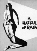 A Hatful of Rain film from Fred Zinnemann filmography.