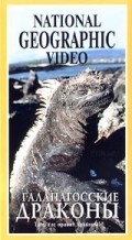 The Dragons of Galapagos - movie with David Attenborough.