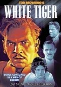White Tiger - movie with Matt Moore.