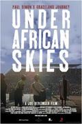Under African Skies film from Joe Berlinger filmography.