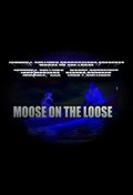 Film Moose on the Loose.
