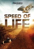 Speed of Life film from Donald Shults filmography.
