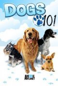 Dogs 101 is the best movie in Nicholas Dodman filmography.