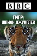 Tiger: Spy in the Jungle - movie with David Attenborough.