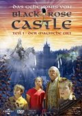 The Mystery of Black Rose Castle film from Katalin Petenyi filmography.