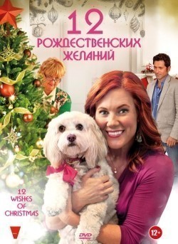 12 Wishes of Christmas film from Peter Sullivan filmography.