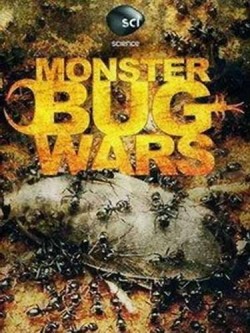 TV series Monster Bug Wars!.