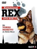 Kommissar Rex - movie with Elke Winkens.