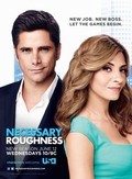 Necessary Roughness film from Kevin Dowling filmography.